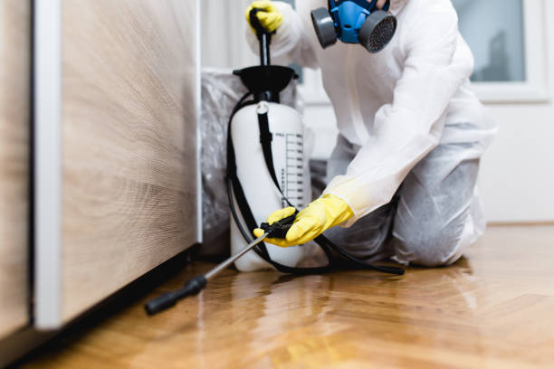 Best Best Pest Control Companies  in Ellicott City, MD