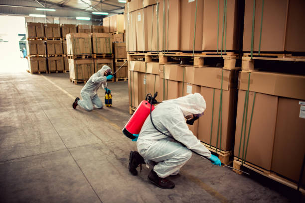 Best Flea Control Services  in Ellicott City, MD