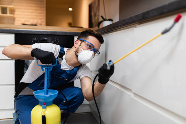 Professional Pest Control in Ellicott City, MD