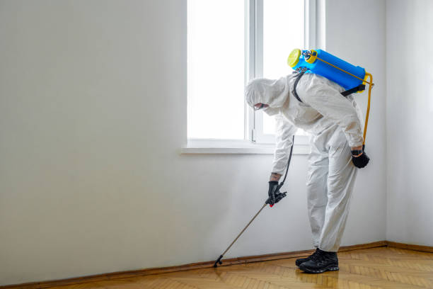 Best Commercial Pest Control Services  in Ellicott City, MD