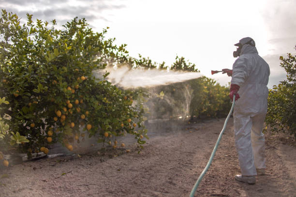 Best Affordable Pest Control Services  in Ellicott City, MD