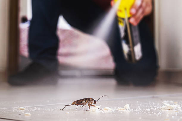  Ellicott City, MD Pest Control Pros