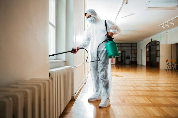 Best Termite Control Services  in Ellicott City, MD