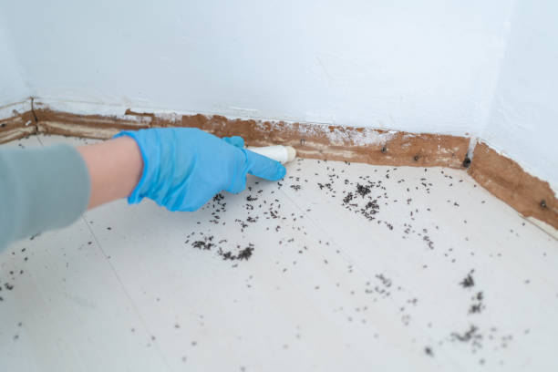 Best Insect Control  in Ellicott City, MD