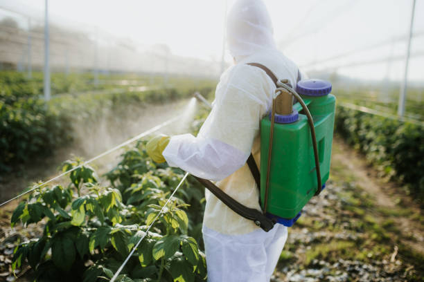 Best Pest Prevention Services  in Ellicott City, MD
